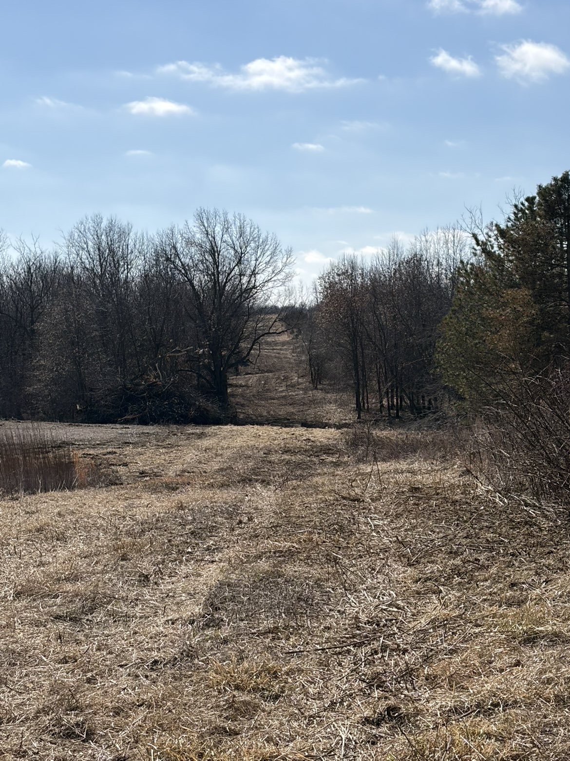 Cleared fence line open pasture after brush removal, Northeast Missouri — Emanuel Excavation